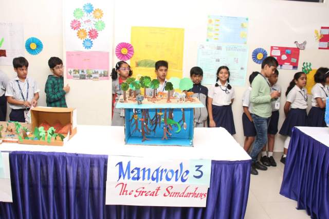 CHIREC students participating in the great sundarbuns project